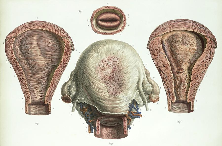 sharp-stabbing-pain-in-right-side-under-rib-cage-pain-under-the-right