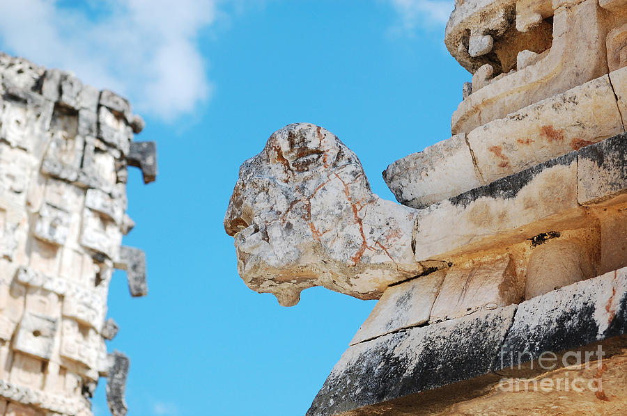 Mayan Photograph - Uxmal Mayan Ancient Turtle Glyph Profile by Shawn OBrien