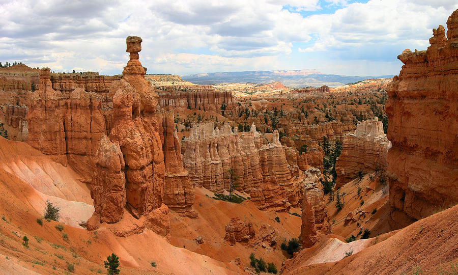 Thors Hammer - Bryce Canyon National Park Photograph by Georgia Clare