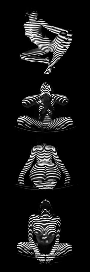 V Stripe Series One Abstract Zebra Woman 1 To 3 Ratio Photograph By