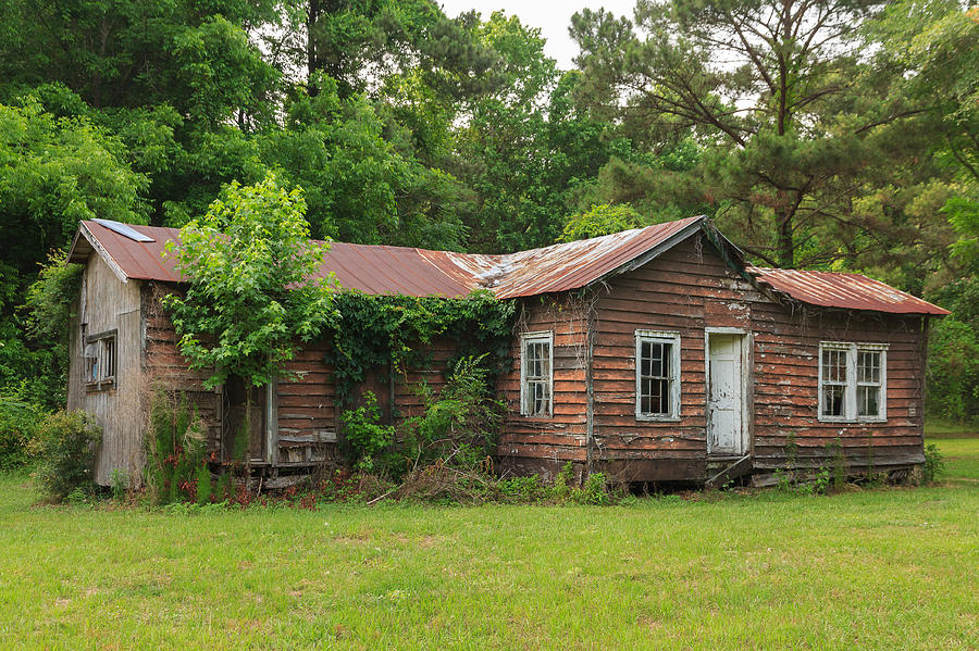 Vacant Rural Home Photograph by Patricia Schaefer