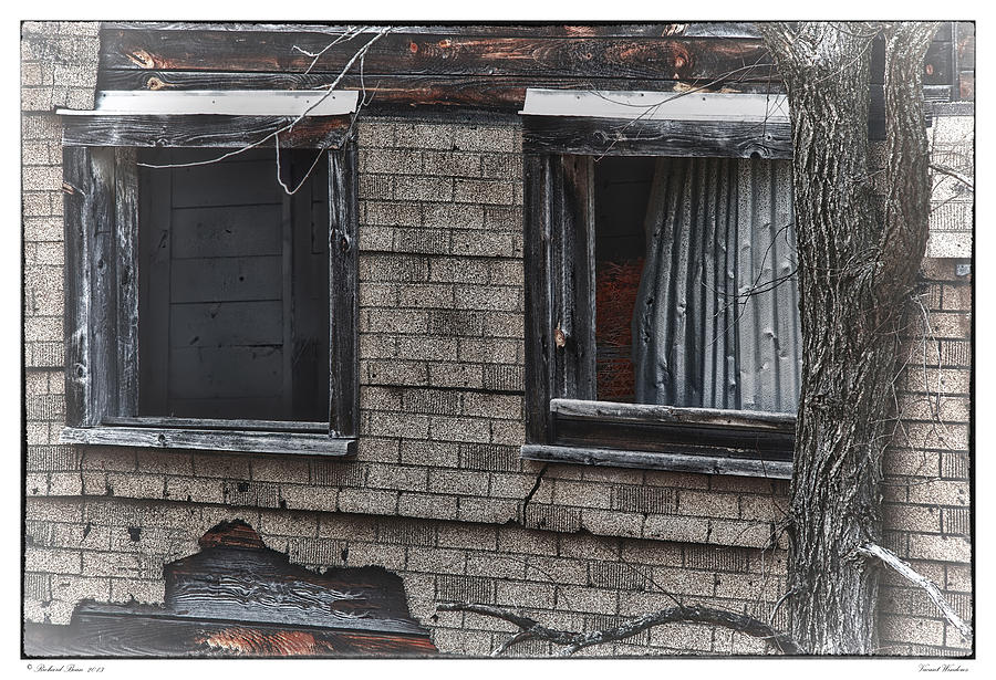 Vacant Windows Photograph by Richard Bean