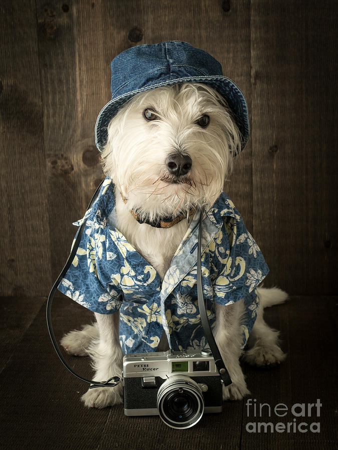 Vacation Dog with camera and Hawaiian shirt Tapestry by Edward Fielding -  Fine Art America