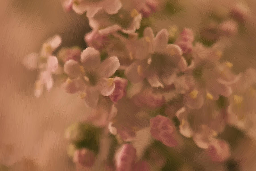 Valarian Blossoms Macro - Digital Oil Painting Photograph by Sandra Foster