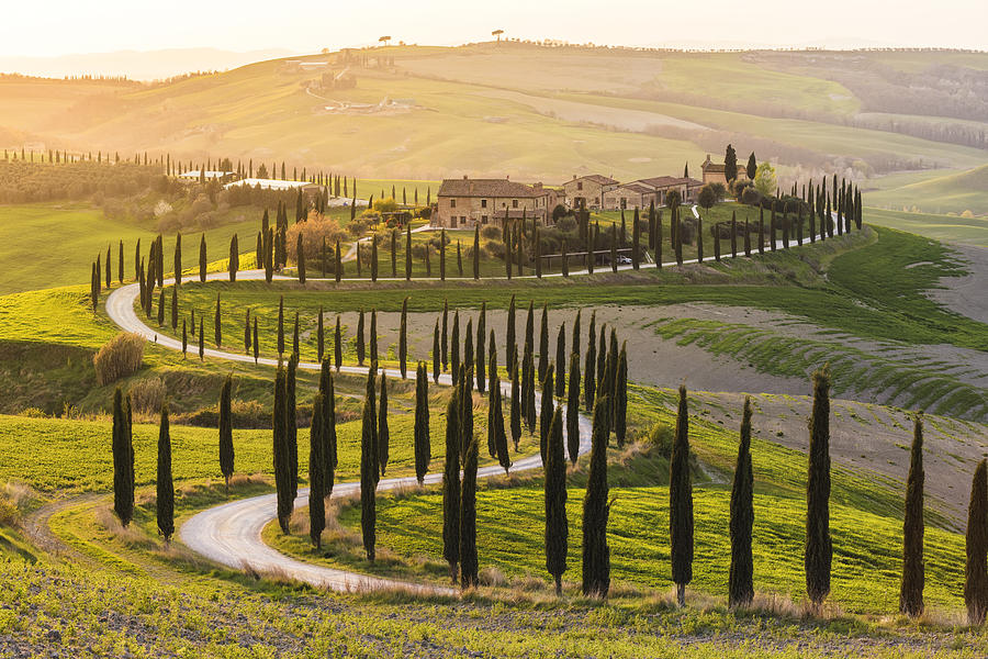 Valdorcia, Siena, Tuscany. Road of cypresses in a farmhouse at sunset Photograph by Andrea Comi