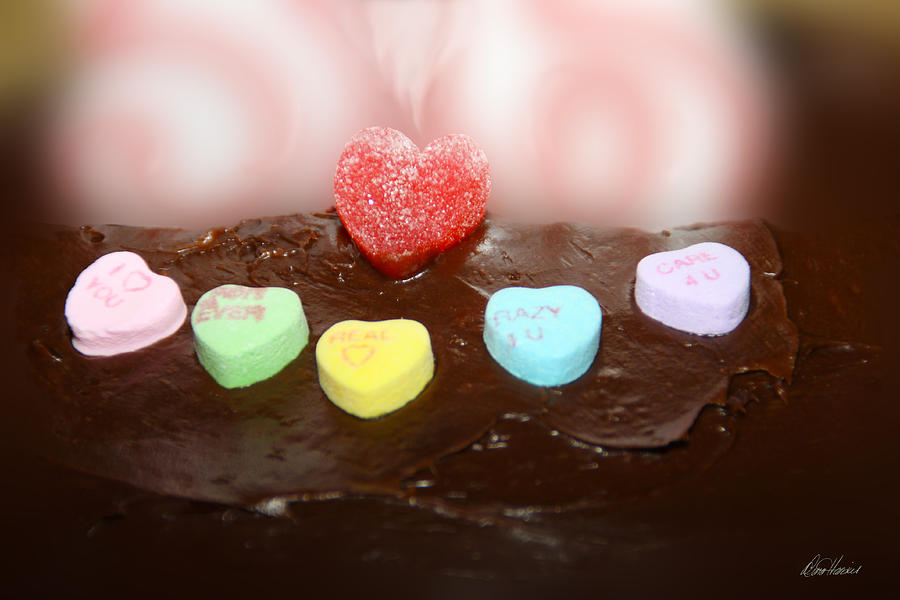 Valentine Cake Photograph by Diana Haronis
