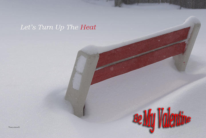 Valentine Lets Turn Up The Heat Photograph by Thomas Woolworth