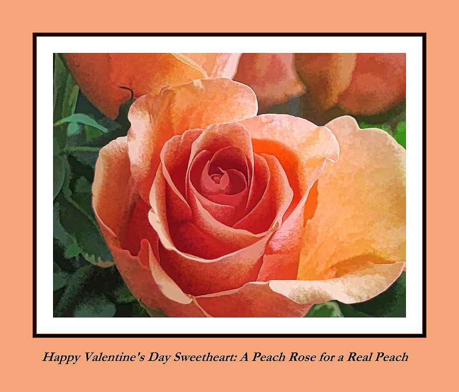 Valentine Peach Rose for a Peach Digital Art by Doug Morgan