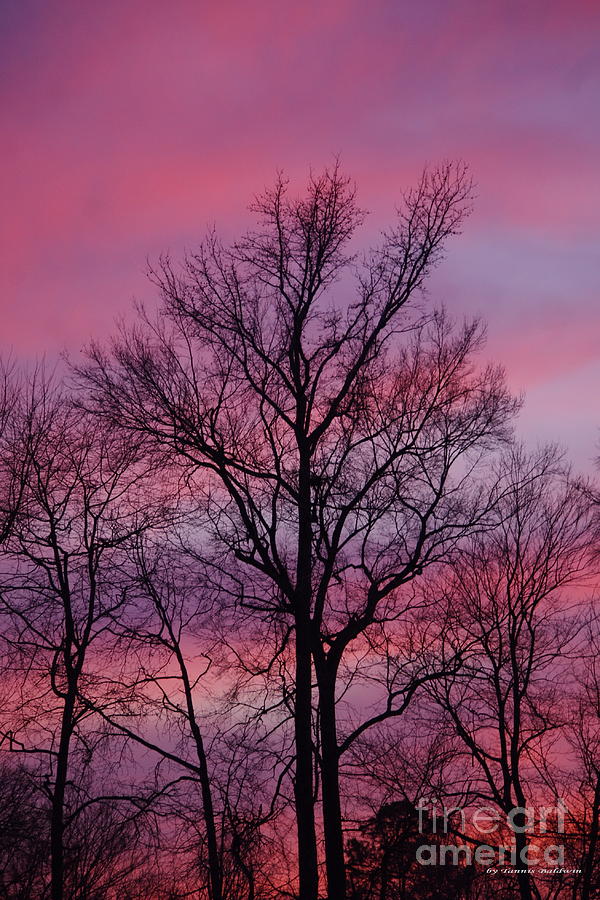 Sunset Photograph - Valentine Sunset A by Tannis  Baldwin