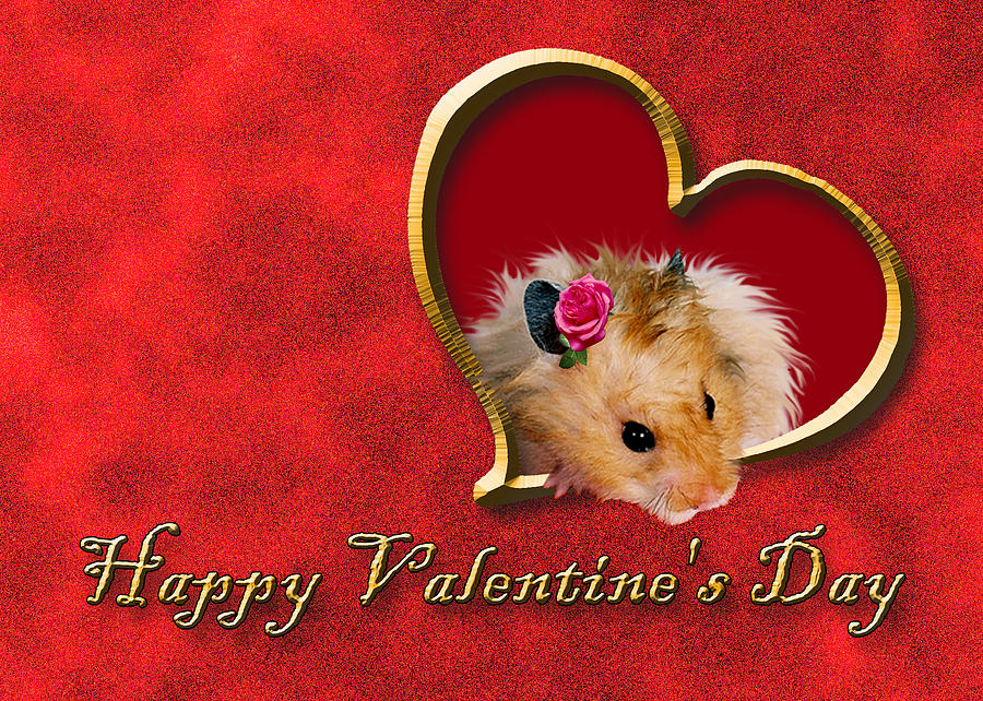 Valentines Day Photograph - Valentines Day Hamster by Jeanette K