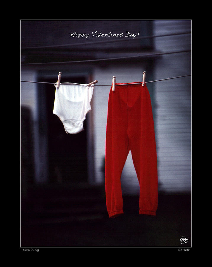 Valentines Day Poster Photograph by Wayne King