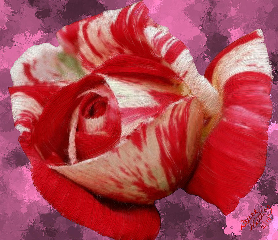 Valentines Day Rose Painting by Bruce Nutting