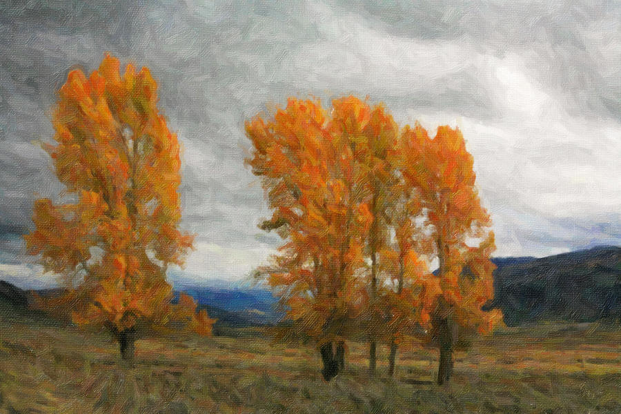Valley Aspens Painterly Photograph by Clare VanderVeen