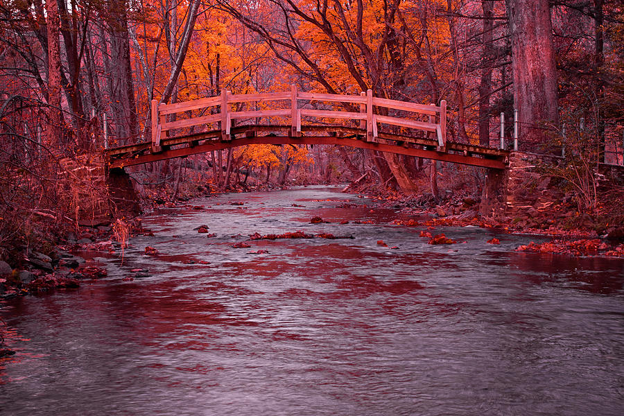 Valley Creek Bridge in Autumn Photograph by Michael Porchik