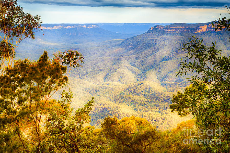 Nature Photograph - Valley Glimpse by Silken Photography