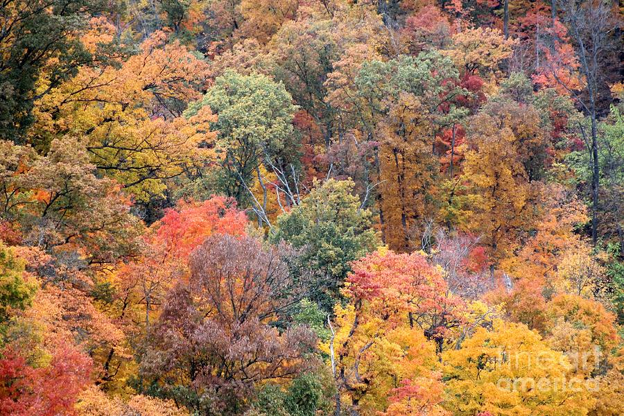 Valley of Color Photograph by Bruce LaDuke - Fine Art America