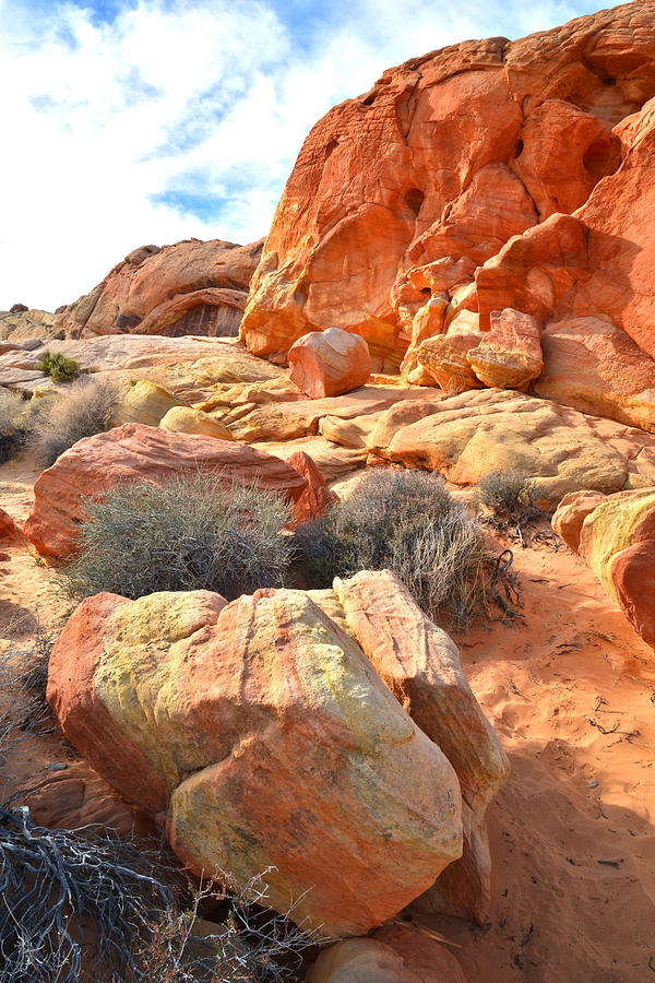 Valley of Fire 113 Photograph by Ray Mathis