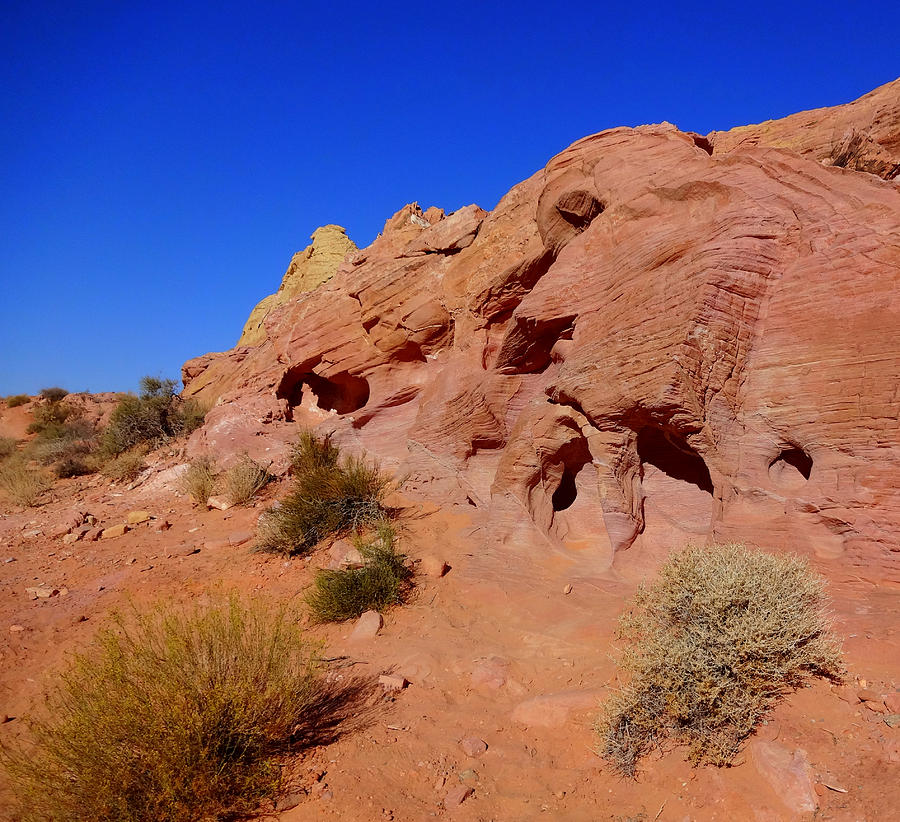 Valley of Fire Photograph by Donna Spadola