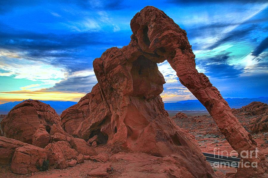 Elephant Rock Photograph - Valley Of Fire Elephant Rock by Adam Jewell