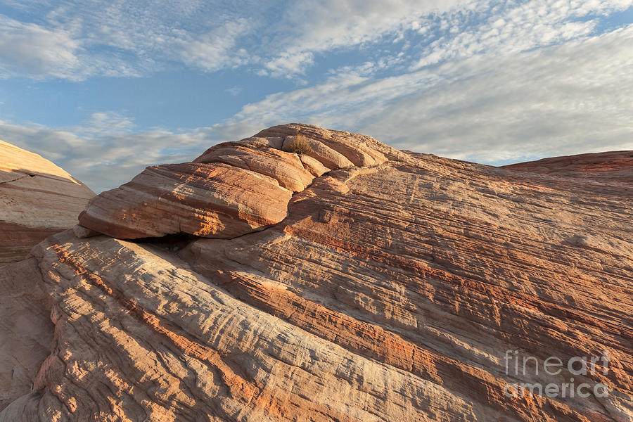 Valley of Fire Morning Photograph by Sandra Bronstein