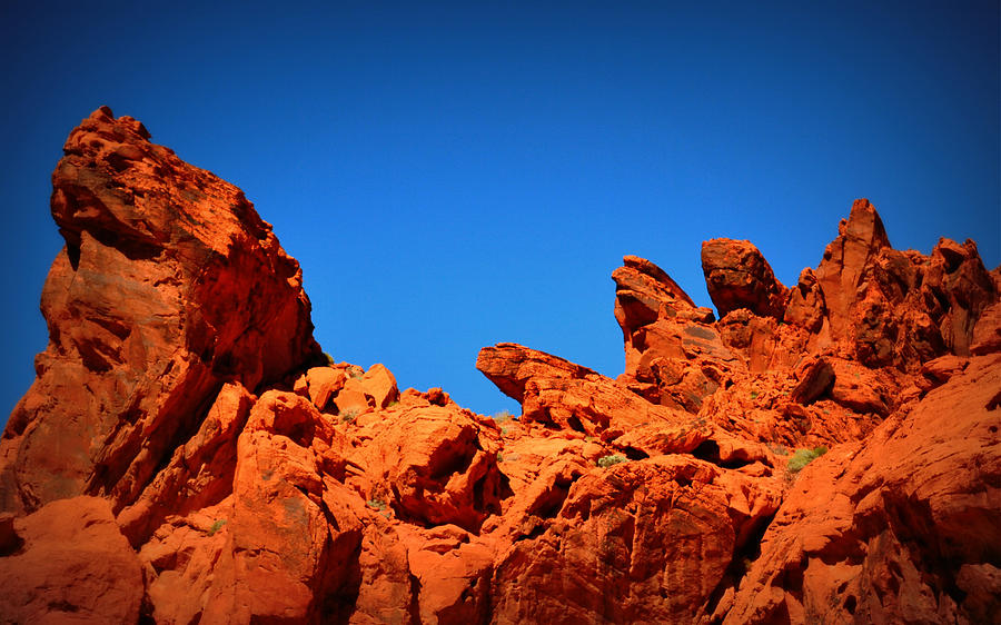 Valley of Fire Nevada Desert Rock Lizards Photograph by Katy Hawk