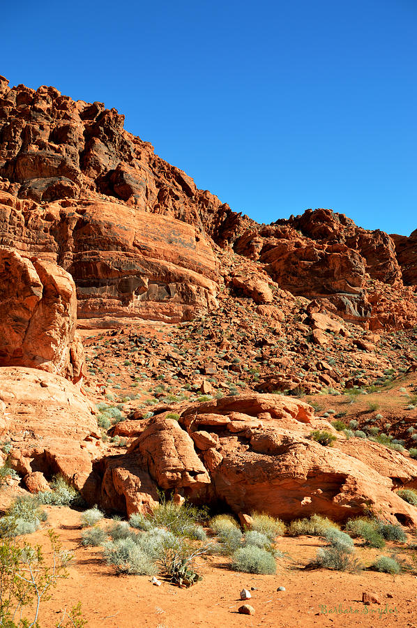 Valley of Fire Nevada State Park Painting by Barbara Snyder - Fine Art ...