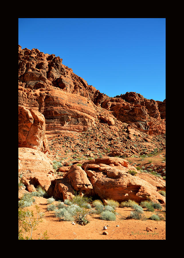 Valley of Fire Nevada State Park Duvet Painting by Barbara Snyder