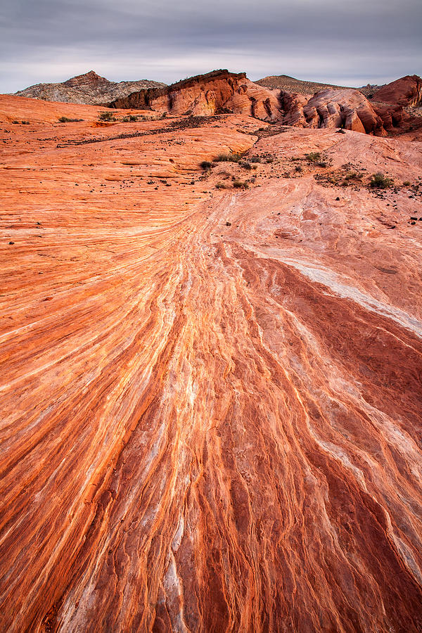 Valley of Fire Photograph by Peter Tellone