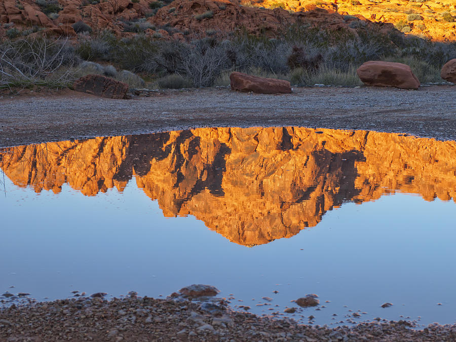 Nature Photograph - Valley of Fire Reflection IV by Marianne Campolongo