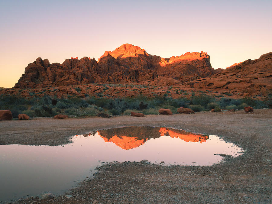 Valley of Fire Reflections I Photograph by Marianne Campolongo