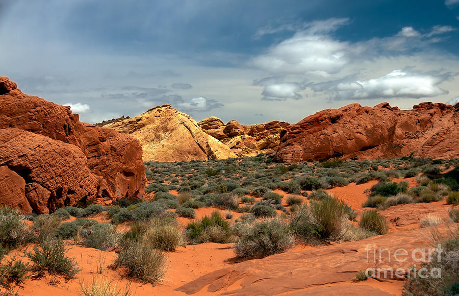 Lake Mead National Recreation Area Photograph - Valley Of Fire by Robert Bales