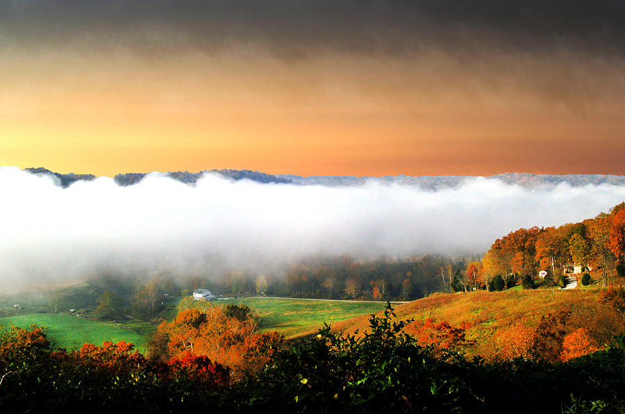 Valley of Fog Cedar Grove IN Photograph by Randall Branham