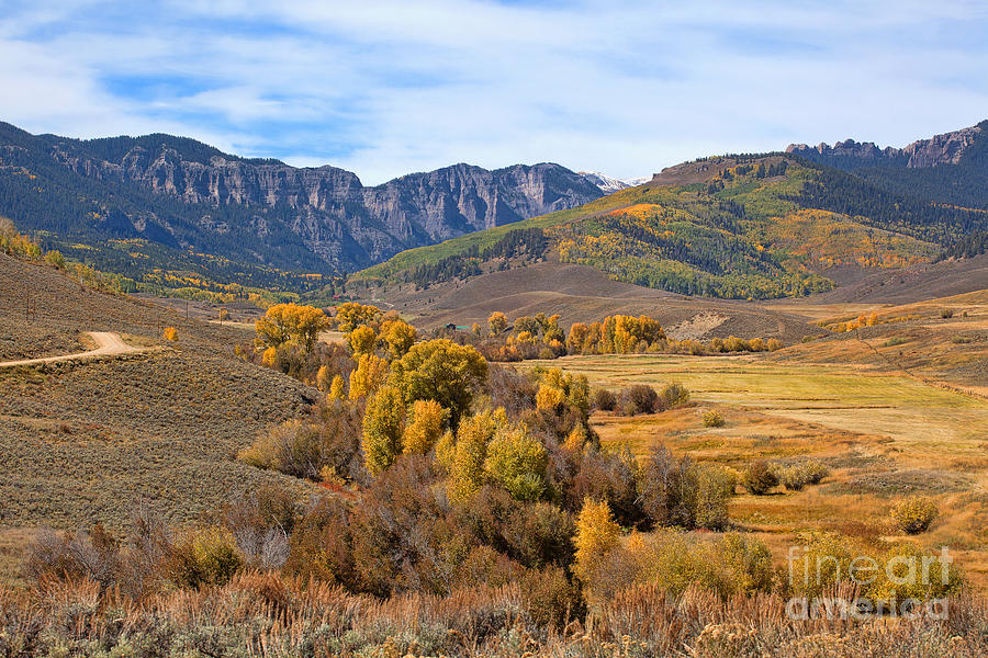 Autumn Colors Photograph - Valley of Gold by Jim Garrison