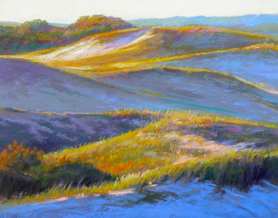 Nature Painting - Valley of the Dunes by Ed Chesnovitch
