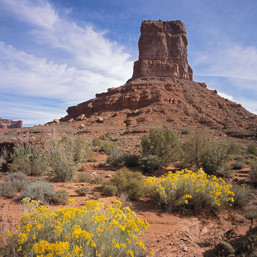 Valley of the Gods #1-SQ Photograph by Tom Daniel