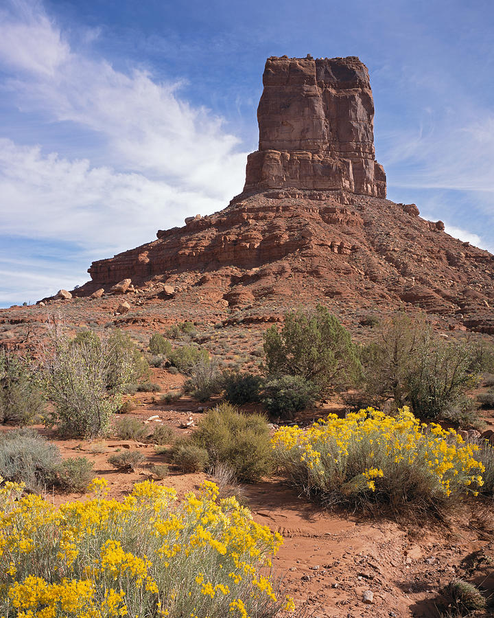 Valley of the Gods #1 Photograph by Tom Daniel