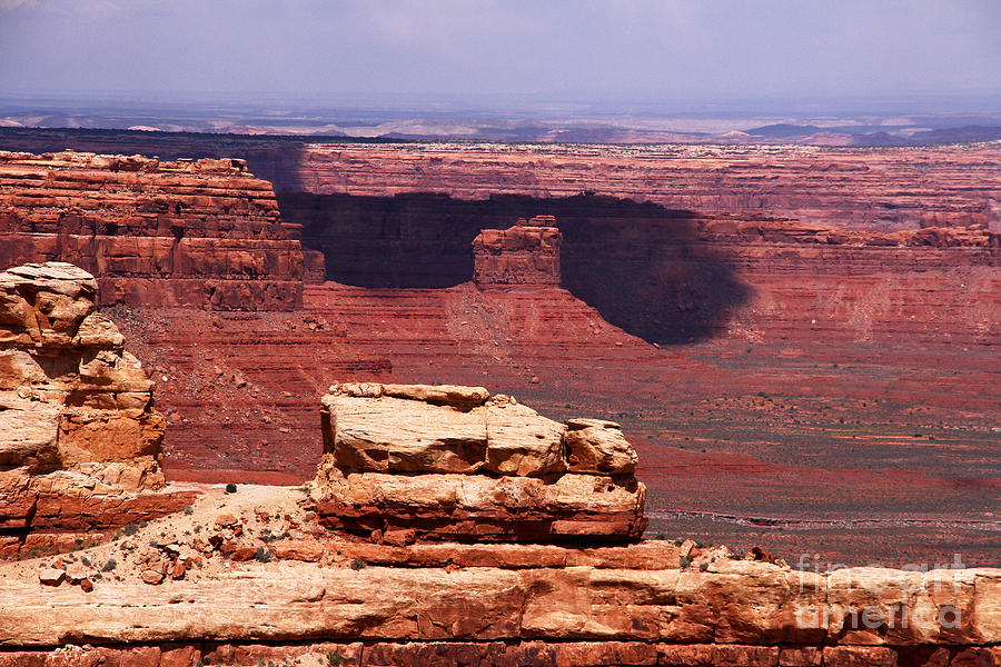 Valley of the Gods Photograph by Butch Lombardi