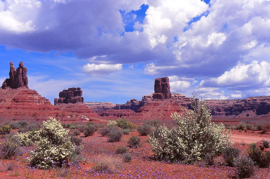Southern Utah Photograph - Valley of the Gods by Cynthia Wallentine