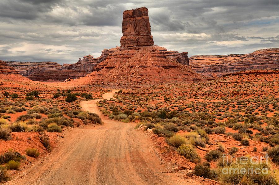 Valley Of The Gods Road Photograph by Adam Jewell