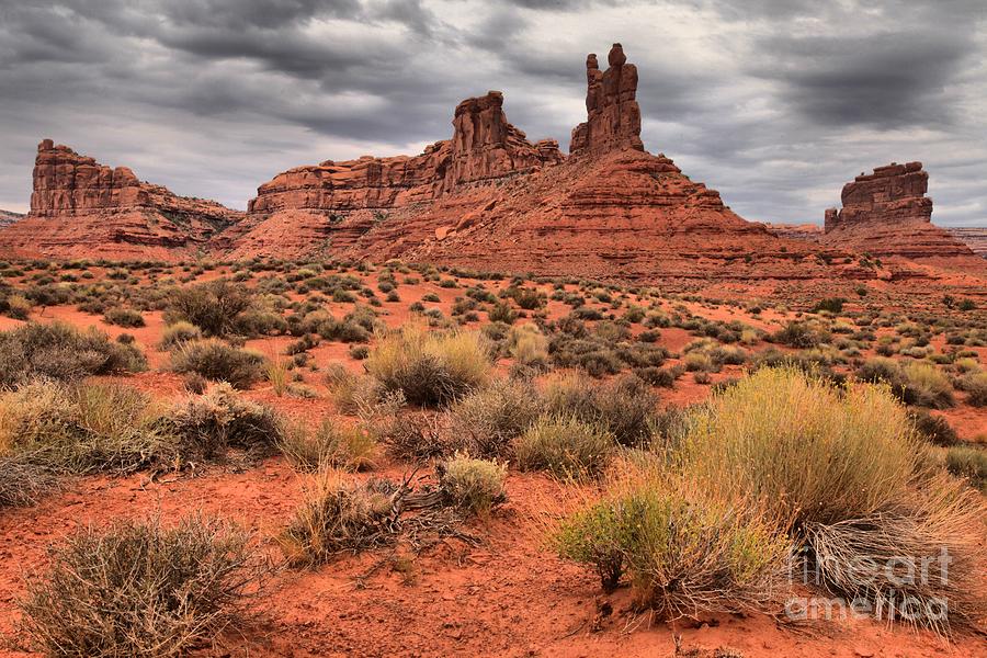 Valley Of The Gods Towers Photograph by Adam Jewell