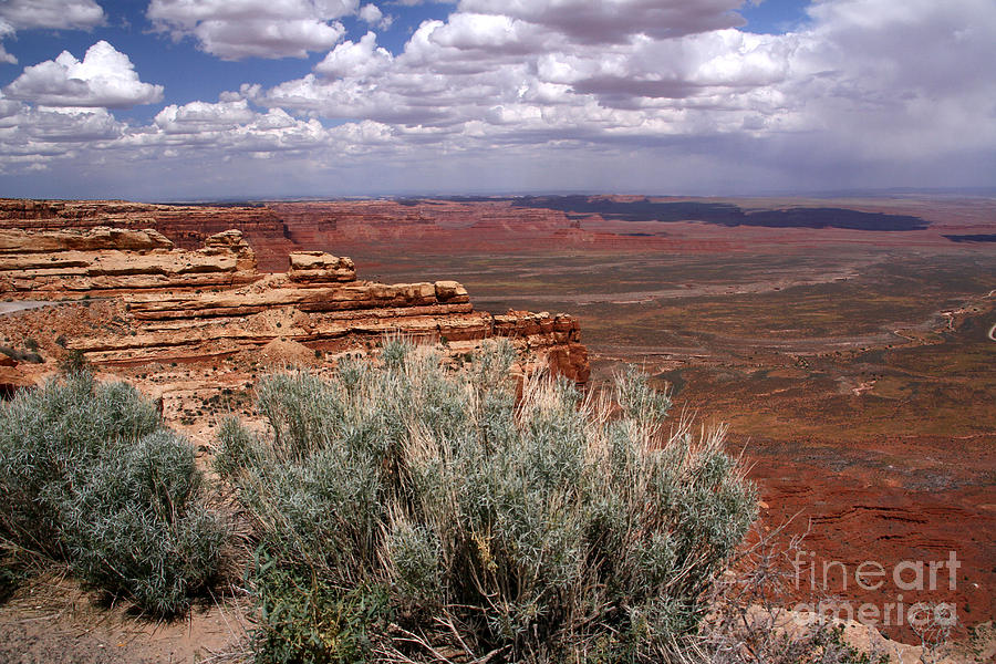 Valley of the Gods View-Moki Dugway Photograph by Butch Lombardi