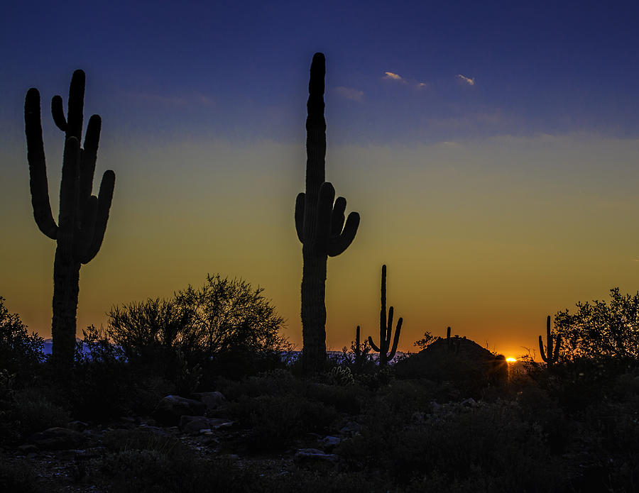 Valley of the Sun Photograph by George Davidson - Fine Art America