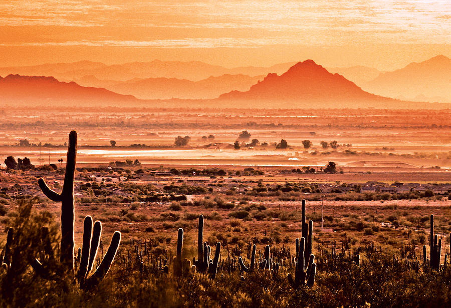 Valley of the Sun Photograph by Jim Painter