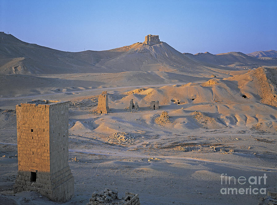 Valley Of The Tombs, Palmyra, Syria Photograph by Adam Sylvester