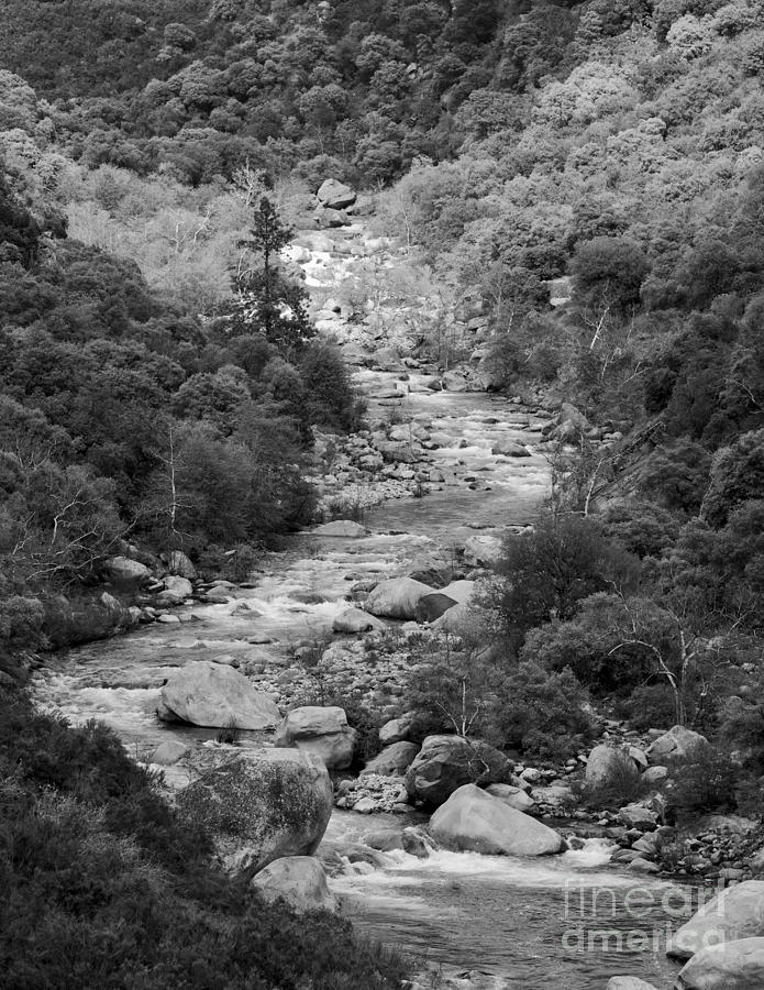 Valley Stream Photograph by B Christopher Fine Art America