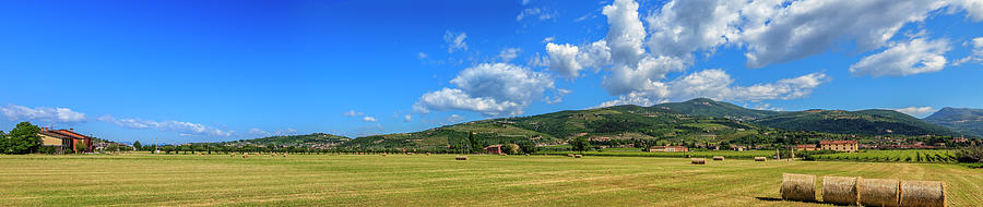 Valpolcella Fields, Italy Photograph by Flavio Vallenari