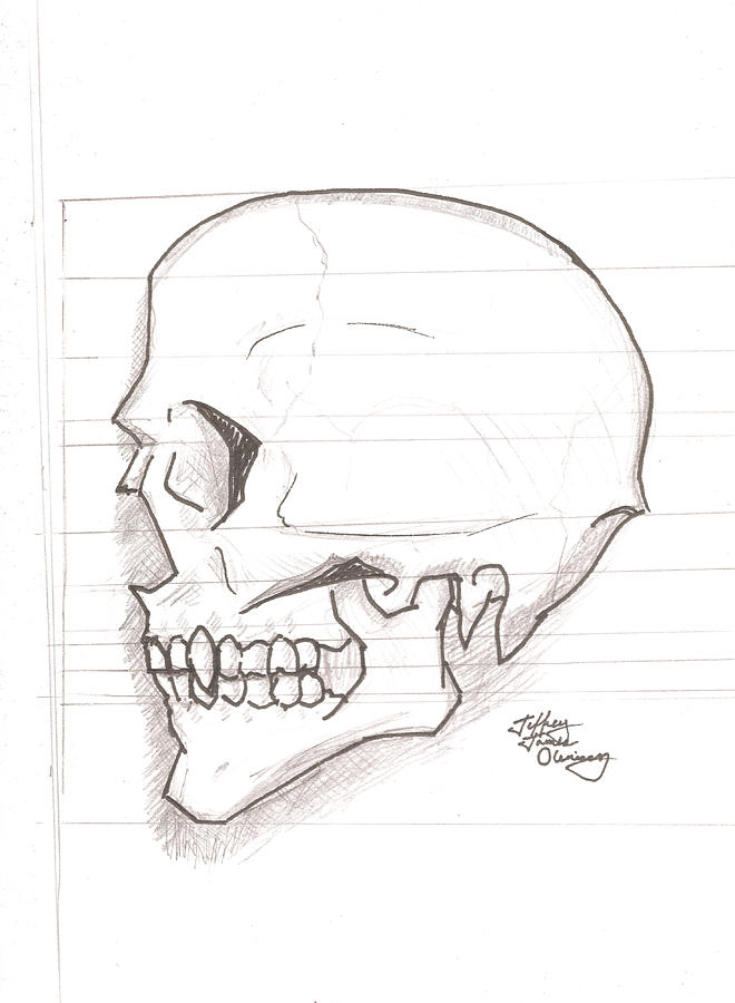 Vampire Skull Drawing by Jeffrey Oleniacz | Fine Art America