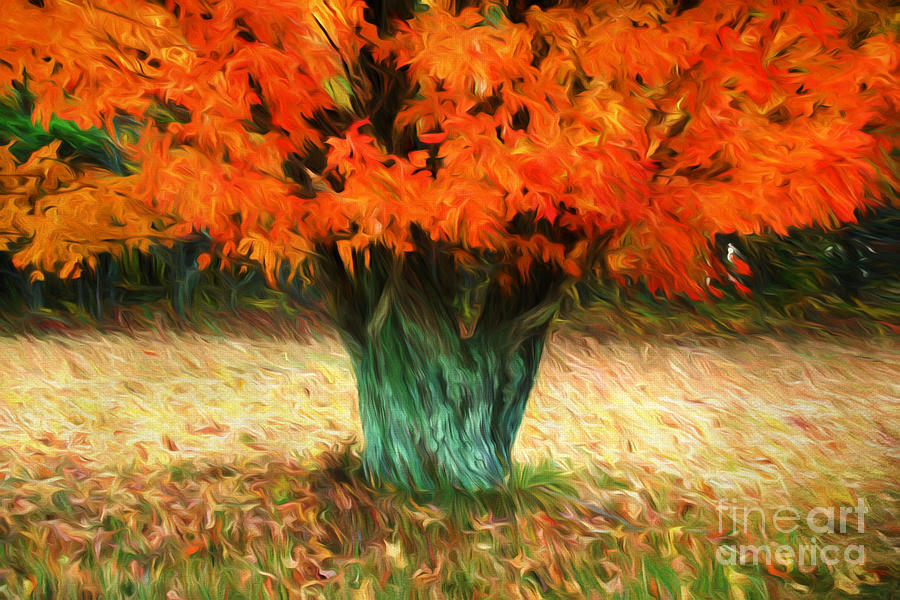 Van Gogh Autumn Photograph by Darren Fisher