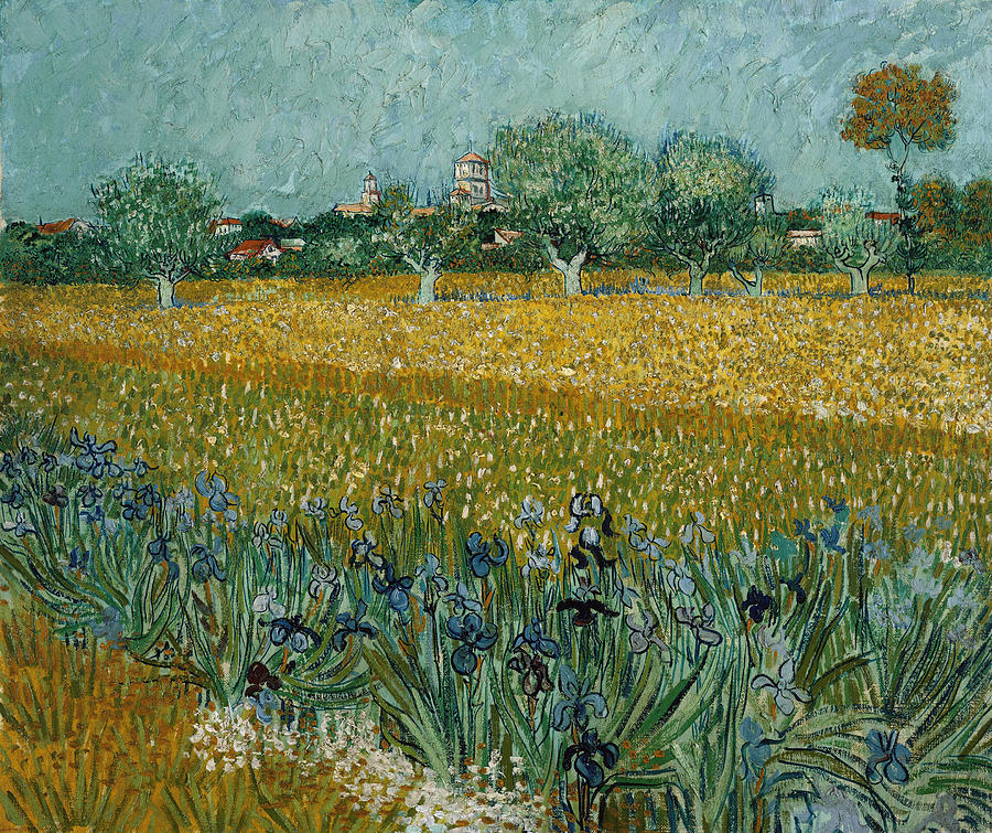 Van Gogh Field With Irises Painting by Granger
