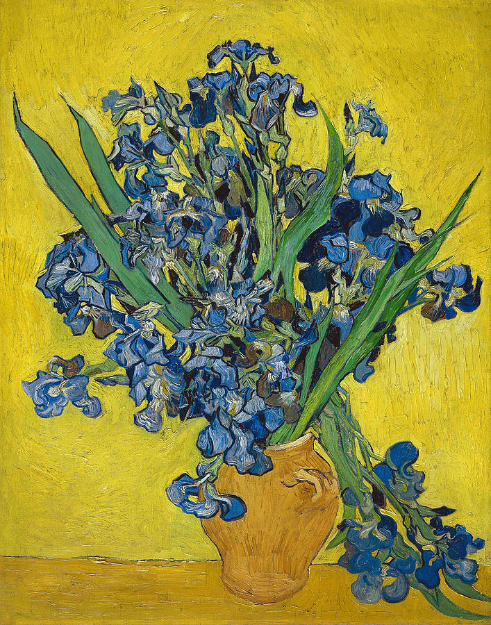 Van Gogh Irises, 1890 Painting by Granger